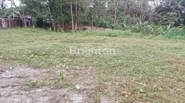 image TANAH STRATEGIS KM 22 (A274)  (2)