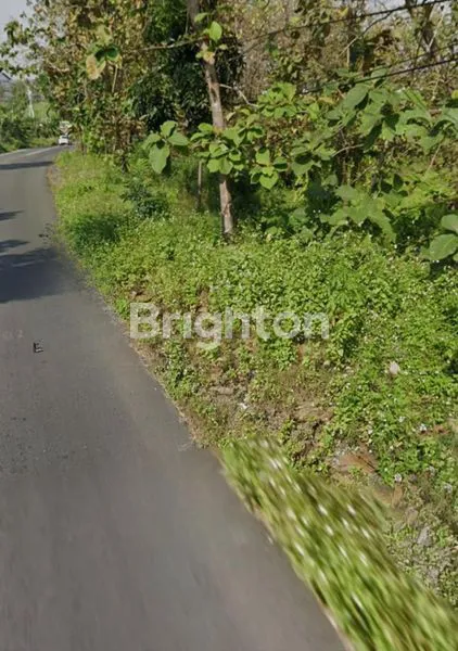 image TANAH LUAS 5372M² DI RAYA MANTUP (2)