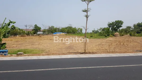 image TANAH TONGAS - PROBOLINGGO DIJUAL CEPAT, KAWASAN INDUSTRI, LOKASI STRATEGIS, BISA AKSES KONTAINER (2)