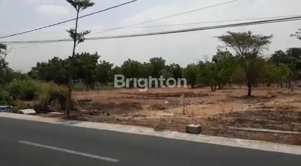 image TANAH TONGAS - PROBOLINGGO DIJUAL CEPAT, KAWASAN INDUSTRI, LOKASI STRATEGIS, BISA AKSES KONTAINER (3)