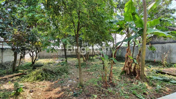 image DIJUAL CEPAT TANAH & BANGUNAN EKS BENGKEL DI KARAWANG TIMUR (8)