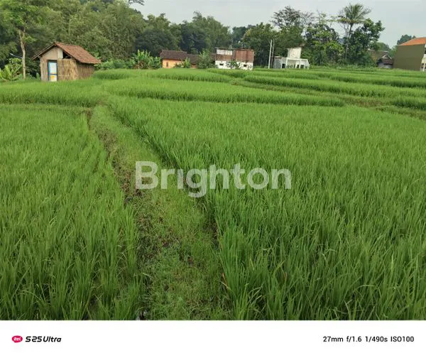 image HUNIAN ASRI DI LAWANG JAWA TIMUR (4)