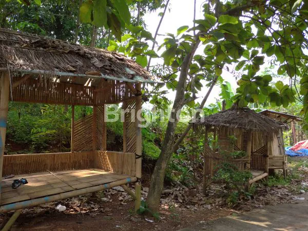image TANAH KEBUN MURAH DI CIANGSANA BOGOR DEKAT KOTA WISATA CIBUBUR (3)