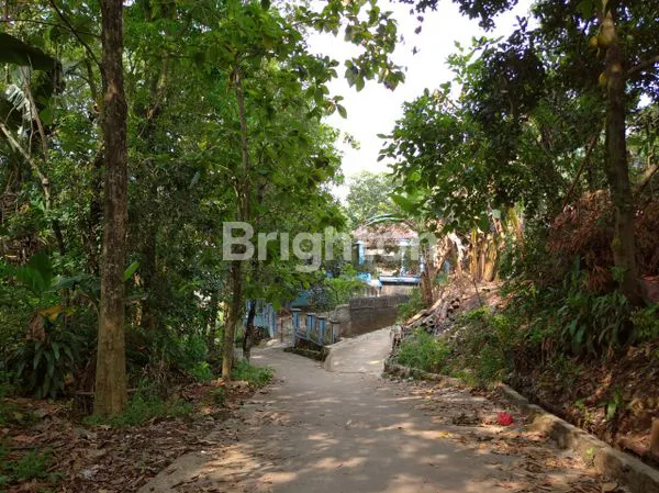image TANAH KEBUN MURAH DI CIANGSANA BOGOR DEKAT KOTA WISATA CIBUBUR (4)