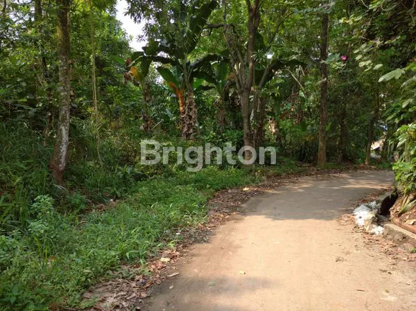 image TANAH KEBUN MURAH DI CIANGSANA BOGOR DEKAT KOTA WISATA CIBUBUR (2)