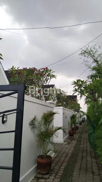 image APARTMENT CANTIK DI SEMINYAK (3)