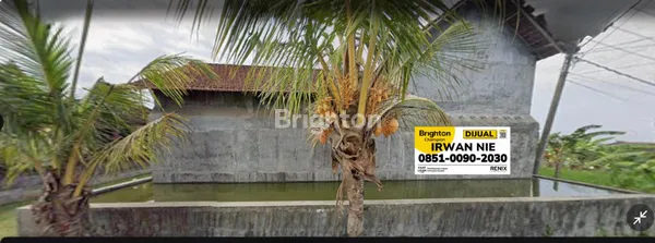 image *JUAL MURAH RUMAH WALET MEDEWI JEMBRANA BALI* (1)
