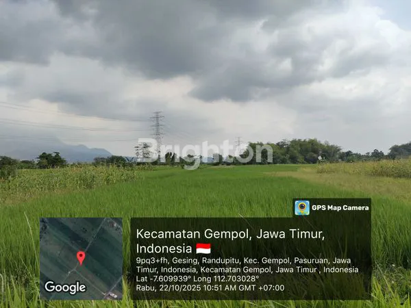 image TANAH SAWAH (2)