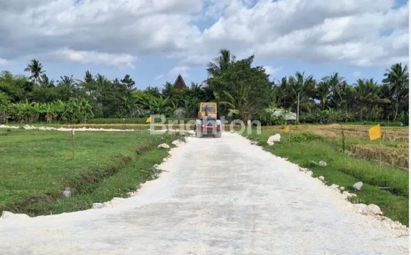 image TANAH KAVLING PREMIUM DI PINGGIR PANTAI BELONG, TABANAN, BALI (4)