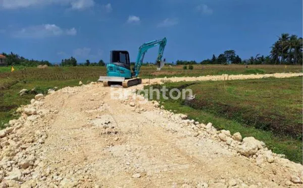 image TANAH KAVLING PREMIUM DI PINGGIR PANTAI BELONG, TABANAN, BALI (3)