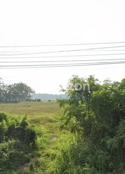 image TANAH LUAS 2000 HA SHM, AKSES TOL STRATEGIS (4)