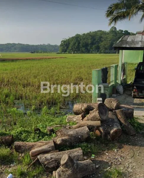 image TANAH LUAS 2000 HA SHM, AKSES TOL STRATEGIS (3)