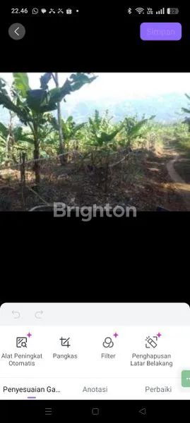 image TANAH LUAS 8,8 HA DI CIANJUR, COCOK INVESTASI (6)