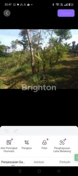 image TANAH LUAS 8,8 HA DI CIANJUR, COCOK INVESTASI (8)