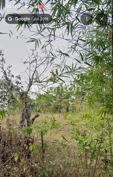 image TANAH LUAS 8,8 HA DI CIANJUR, COCOK INVESTASI (5)