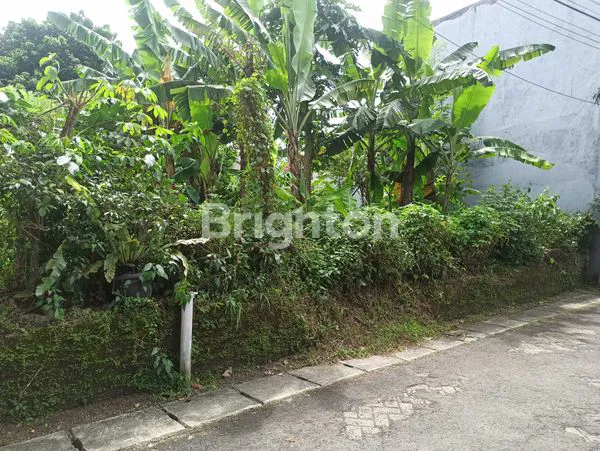 image DIJUAL TANAH DICIKUPA (1)