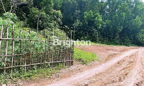 image HOT DEAL! TANAH 10 HA DI CIJAMBE SUKABUMI – SUBUR, STRATEGIS, HARGA KOMPETITIF!AKSES JALAN NASIONAL (1)