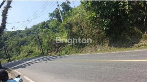 image HOT DEAL! TANAH 10 HA DI CIJAMBE SUKABUMI – SUBUR, STRATEGIS, HARGA KOMPETITIF!AKSES JALAN NASIONAL (3)