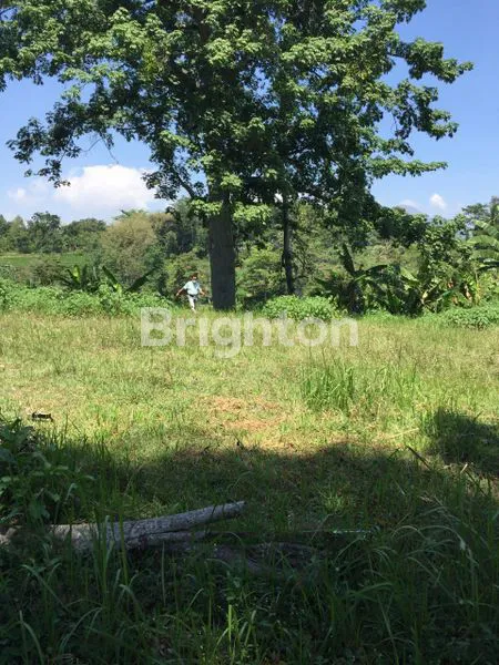 image TANAH KAVLING DI TAMAN DAYU (1)