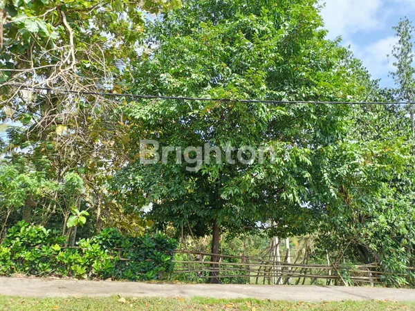 image JUAL ATAU DISEWAKAN JANGKA PANJANG  (3)