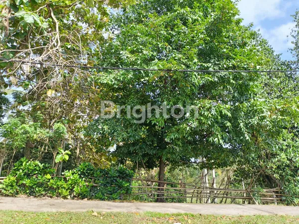 image JUAL ATAU DISEWAKAN JANGKA PANJANG  (4)