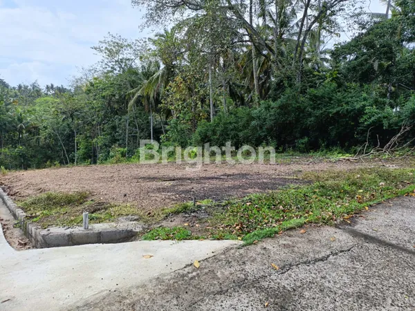 JUAL ATAU DISEWAKAN JANGKA PANJANG