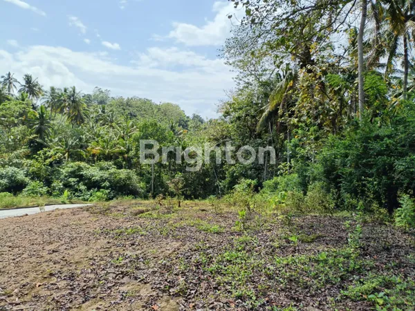 image JUAL ATAU DISEWAKAN JANGKA PANJANG  (5)