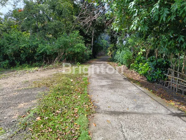 image JUAL ATAU DISEWAKAN JANGKA PANJANG  (6)