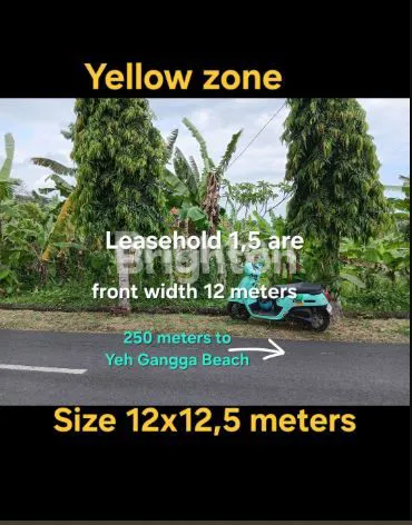 image LEASEHOLD LAND 250 METERS FROM YEH GANGGA BEACH IN TABANAN BALI (5)