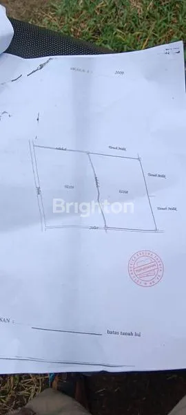 image TANAH PERKEBUNAN LOKASI STRATEGIS DI GEROKGAK BULELENG (5)