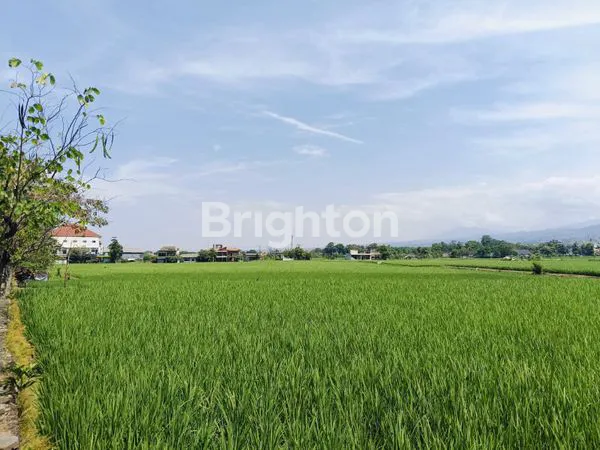 image TANAH 3,5 HA  (350.000M2) TANAH SANGAT PROSPEK  BANDUNG TIMUR (3)