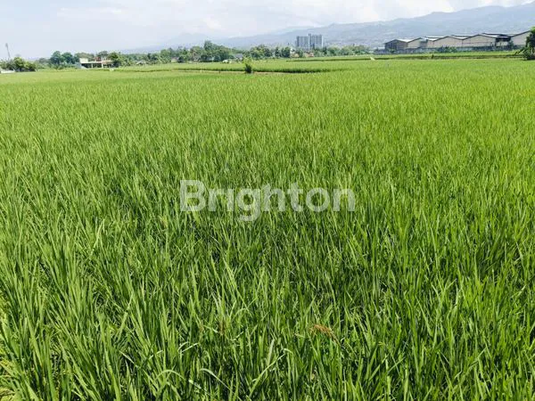 image TANAH 3,5 HA  (350.000M2) TANAH SANGAT PROSPEK  BANDUNG TIMUR (1)