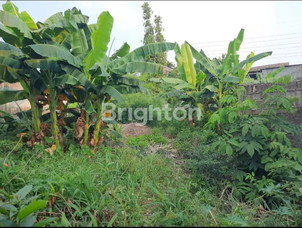 image TANAH KAVLING DI DALAM KOMPLEK PERUMAHAN CHANDRA BARU (5)