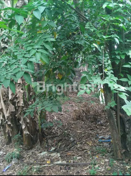 image TANAH KAVLING DI DALAM KOMPLEK PERUMAHAN CHANDRA BARU (3)