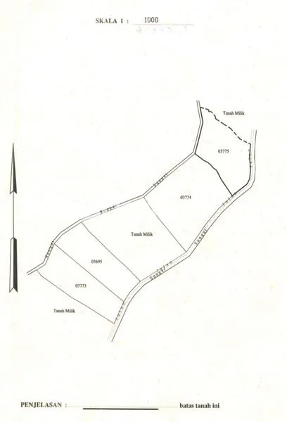image TANAH LUAS 5.515 M² DI CANGGU, SEWA JANGKA PANJANG (4)