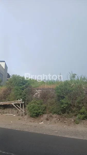 image TANAH KINTAMANI 10 ARE PINGGIR JALAN UTAMA (4)