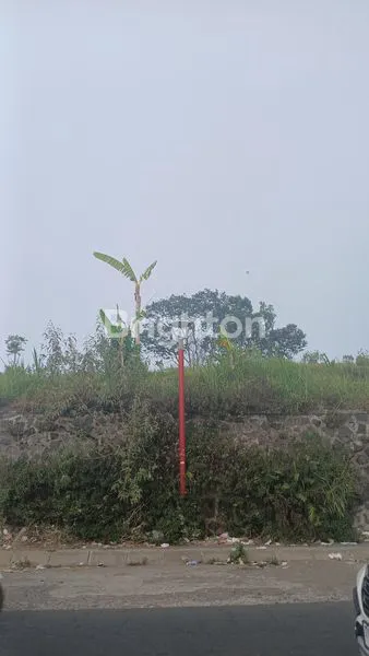 image TANAH KINTAMANI 10 ARE PINGGIR JALAN UTAMA (5)