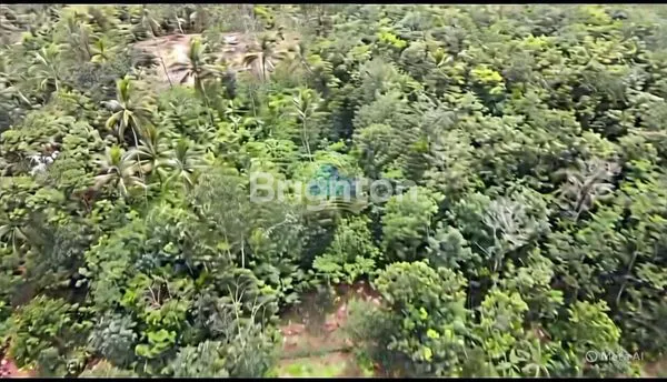 JUAL TANAH INDUSTRI 4 HEKTAR DI CILELES LEBAK – DEKAT TOL, LEBAR MUKA 25M², COCOK UNTUK PABRIK