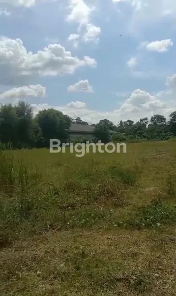 image TANAH INDUSTRI 11.086M² DEKAT TOL BALARAJA (1)