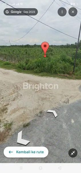 image DIJUAL LAHAN 1.5 HA DI JALAN BUPATI KUBANG (7)