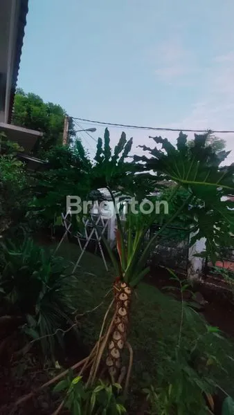 image SERASA MEMILIKI VILA DITENGGAH KOTA BOGOR (5)
