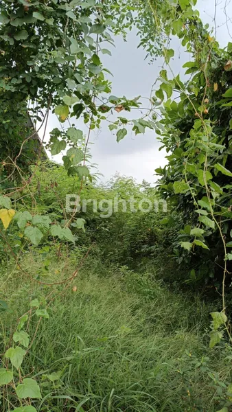 DISEWAKAN TANAH STRATEGIS 24 ARE – DEKAT JALAN RAYA BY PASS, LOKASI KOMERSIAL POTENSIAL