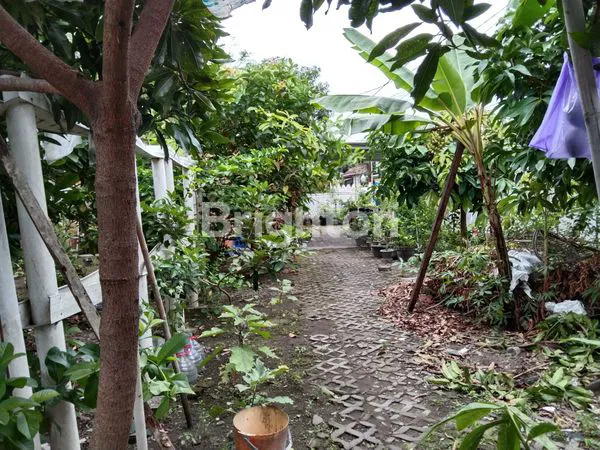 image TANAH BONUS BANGUNAN AREA KODYA, TENGAH KOTA (6)