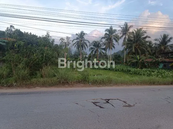 image TANAH LUAS 2.091 M² DEKAT GERBANG TOL BALSAM  (3)