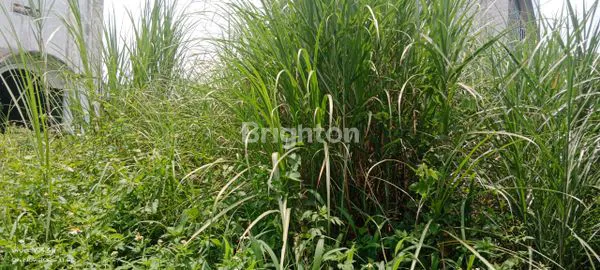 image TANAH  PLUS  GUDANG STRATEGIS PINGGIR JALAN RAYA  UNTUNG SUROPATI  750M2 ( PLUS  250M2) (3)