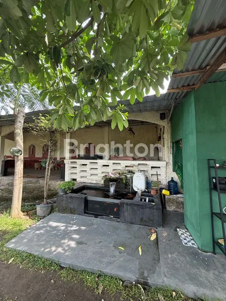 image DIJUAL RUKO TANAH TOTOK KEROT KEDIRI (8)
