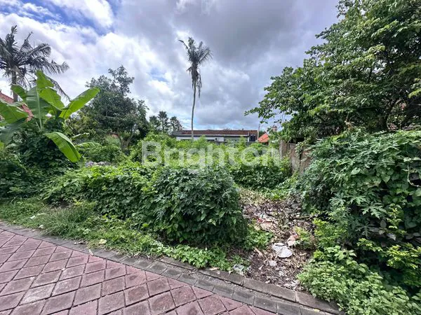 image TANAH LUAS 620M² DI JL VETERAN, STRATEGIS! (4)