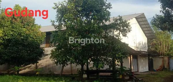 image DIJUAL CEPAT VILLA DI JL.GAJAH MADA DENPASAR NEGARA JEMBRANA BANJAR SEBUAL BALI (7)