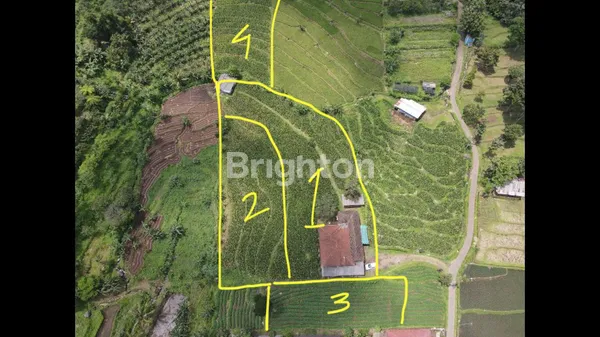 image  VILLA DAN TANAH LOKASI : PACET , MOJOSARI (2)