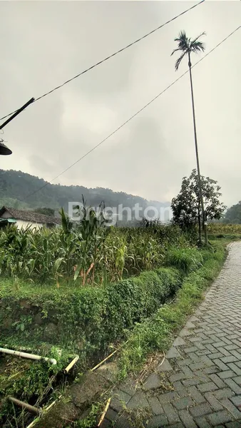 image  VILLA DAN TANAH LOKASI : PACET , MOJOSARI (3)